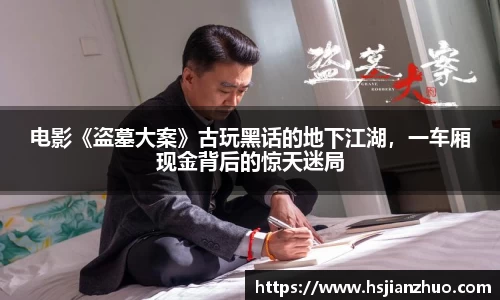 NG28电影《盗墓大案》古玩黑话的地下江湖，一车厢现金背后的惊天迷局